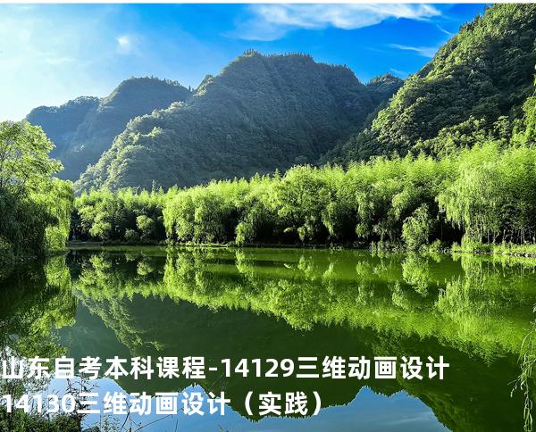 山东自考本科课程-14129三维动画设计 14130三维动画设计（实践）