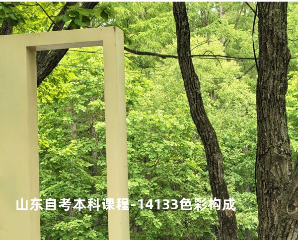 山东自考本科课程-14133色彩构成