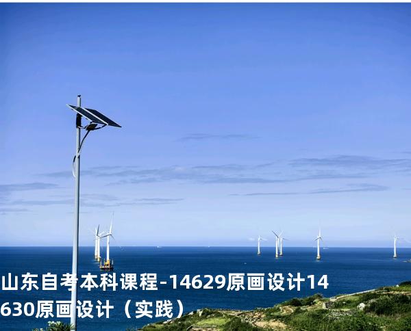 山东自考本科课程-14629原画设计 14630原画设计（实践）