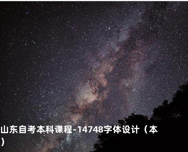 山东自考本科课程-14748字体设计（本）