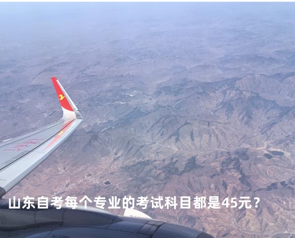 山东自考每个专业的考试科目都是45元？