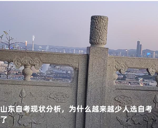 山东自考现状分析，为什么越来越少人选自考了