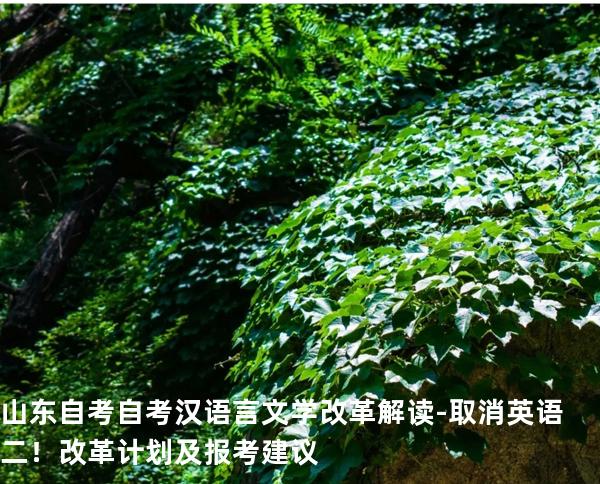 山东自考自考汉语言文学改革解读-取消英语二！改革计划及报考建议