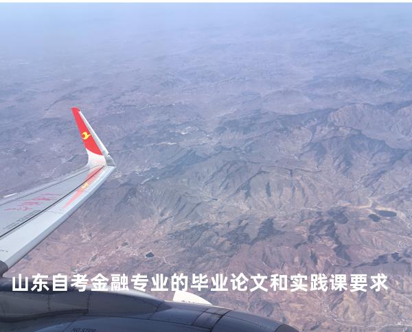 山东自考金融专业的毕业论文和实践课要求