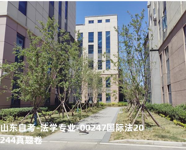 山东自考-法学专业-00247国际法2024.4真题卷
