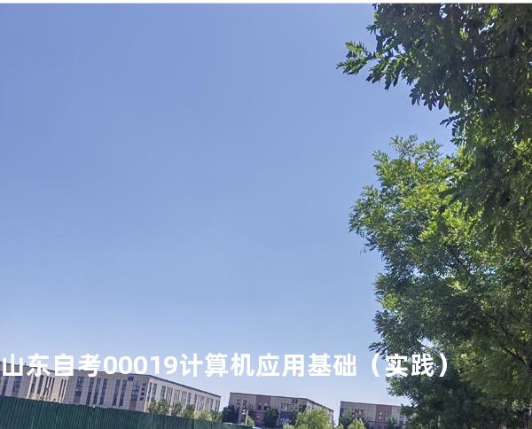 山东自考00019计算机应用基础（实践）