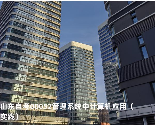 山东自考00052管理系统中计算机应用（实践）