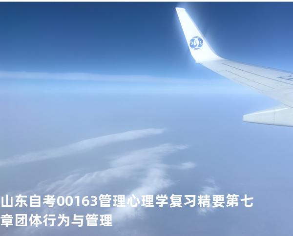 山东自考00163管理心理学复习精要 第七章 团体行为与管理