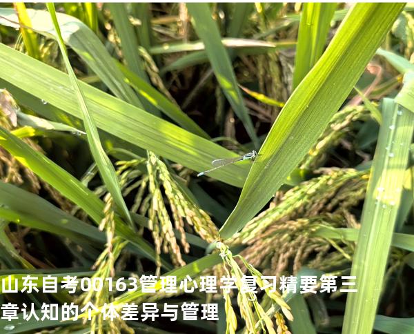 山东自考00163管理心理学复习精要第三章 认知的个体差异与管理