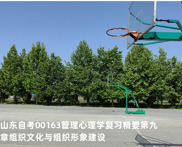 山东自考00163管理心理学复习精要第九章 组织文化与组织形象建设