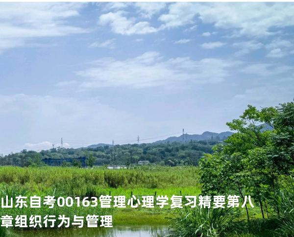 山东自考00163管理心理学复习精要 第八章 组织行为与管理