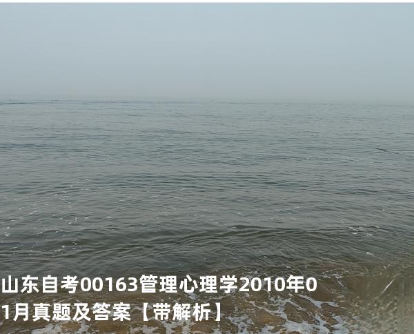 山东自考00163管理心理学2010年01月真题及答案【带解析】