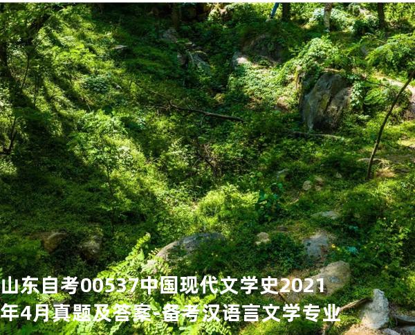 山东自考00537 中国现代文学史2021年4月真题及答案-备考汉语言文学专业