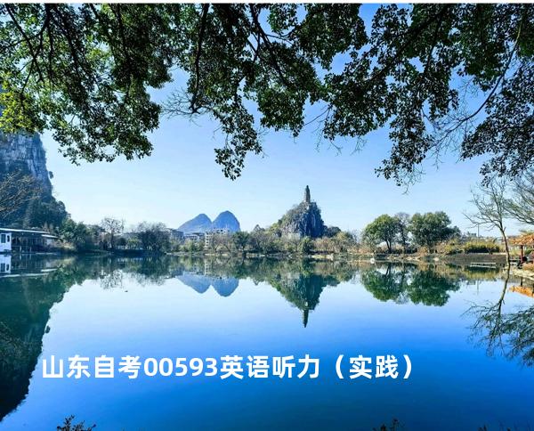 山东自考00593英语听力（实践）