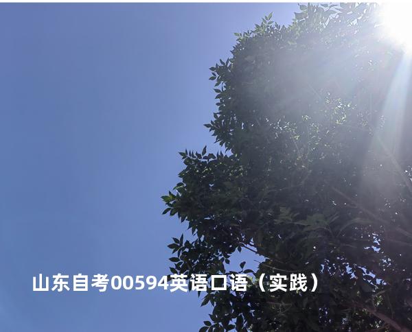 山东自考00594英语口语（实践）