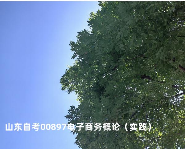 山东自考00897电子商务概论（实践）