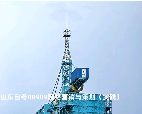 山东自考00909网络营销与策划（实践）