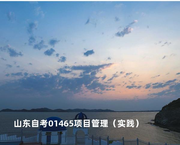 山东自考01465项目管理（实践）