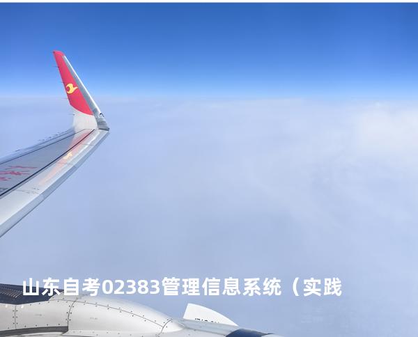山东自考02383管理信息系统（实践