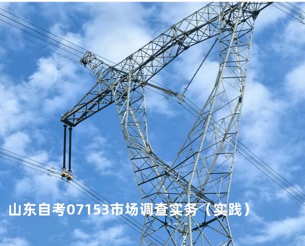 山东自考07153市场调查实务（实践）