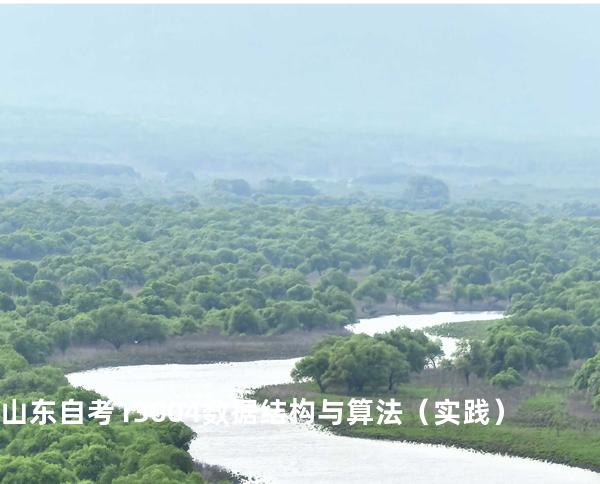 山东自考13004数据结构与算法（实践）