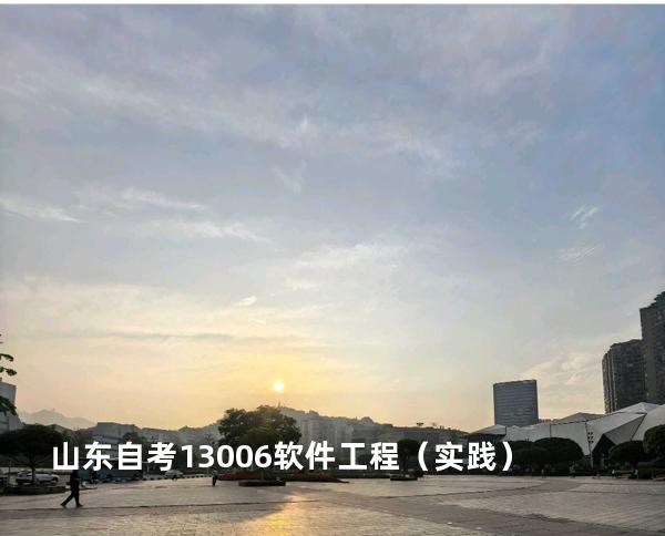 山东自考13006软件工程（实践）