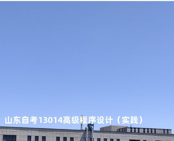 山东自考13014高级程序设计（实践）