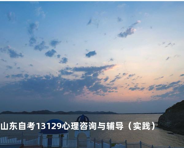 山东自考13129心理咨询与辅导（实践）