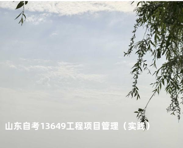 山东自考13649工程项目管理（实践）