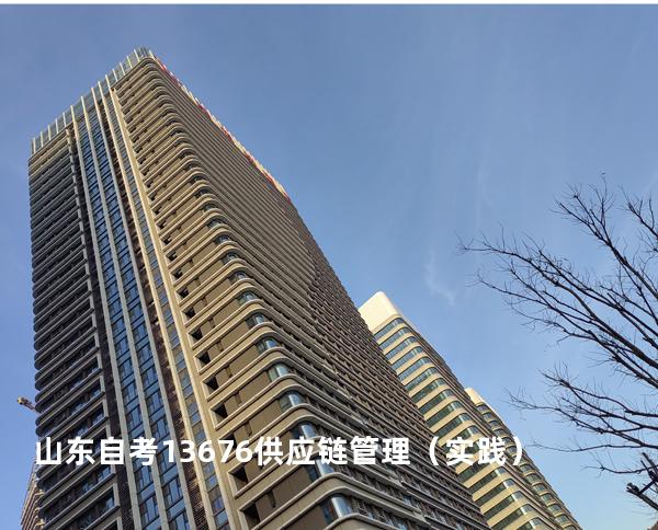 山东自考13676供应链管理（实践）