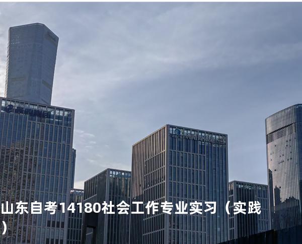 山东自考14180社会工作专业实习（实践） 