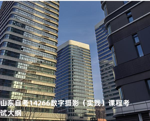 山东自考14266数字摄影（实践）课程考试大纲