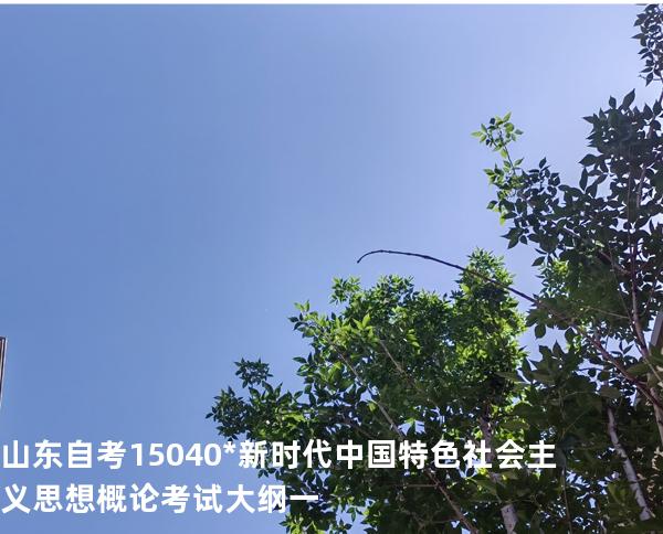 山东自考15040*新时代中国特色社会主义思想概论考试大纲一