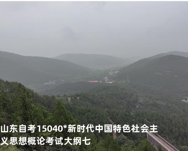 山东自考15040*新时代中国特色社会主义思想概论考试大纲七
