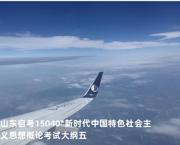 山东自考15040*新时代中国特色社会主义思想概论考试大纲五