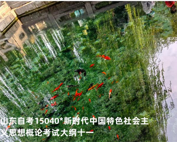 山东自考15040*新时代中国特色社会主义思想概论考试大纲十一