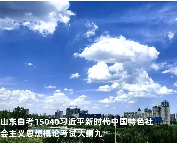 山东自考15040习近平新时代中国特色社会主义思想概论考试大纲九