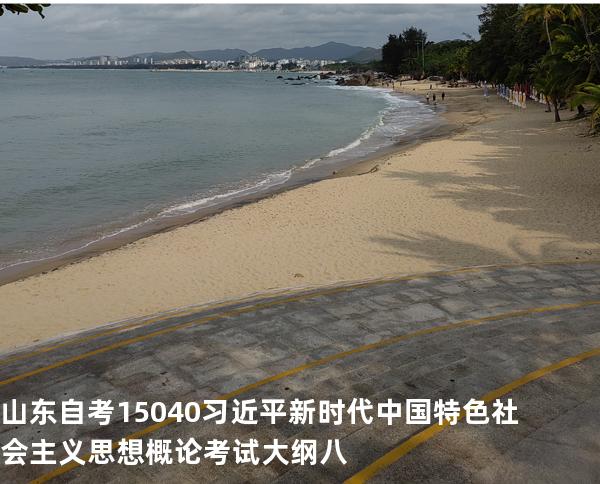 山东自考15040习近平新时代中国特色社会主义思想概论考试大纲八
