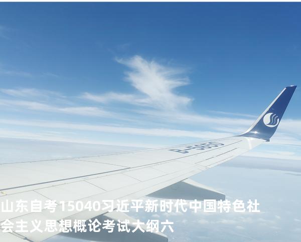 山东自考15040习近平新时代中国特色社会主义思想概论考试大纲六