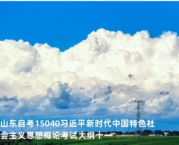 山东自考15040习近平新时代中国特色社会主义思想概论考试大纲十一