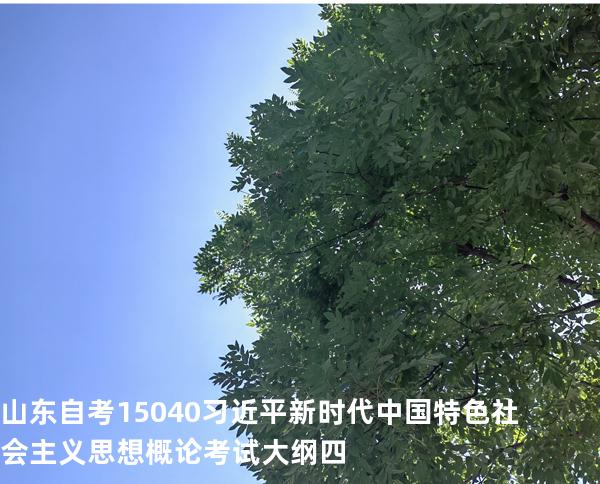 山东自考15040习近平新时代中国特色社会主义思想概论考试大纲四