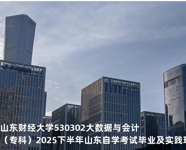 山东财经大学	530302	大数据与会计（专科）2025下半年山东自学考试毕业及实践环节考核科目时间