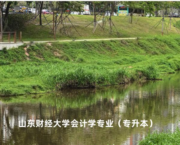 山东财经大学 会计学专业（专升本）