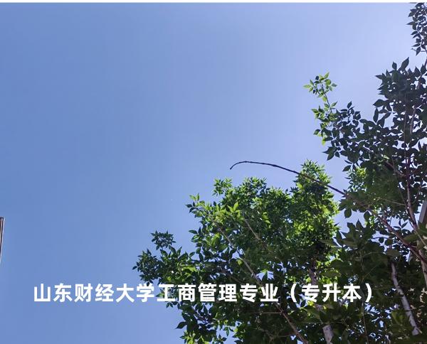 山东财经大学 工商管理专业（专升本）