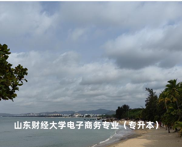 山东财经大学 电子商务专业（专升本）