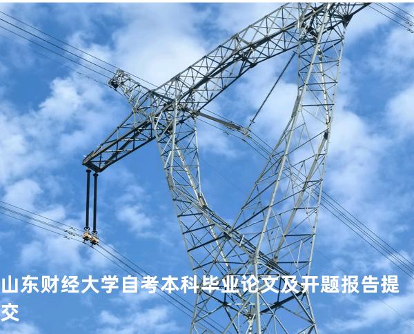 山东财经大学自考本科毕业论文及开题报告提交