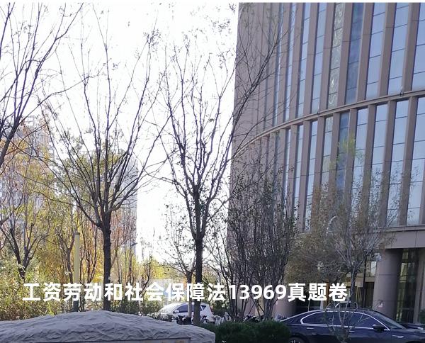 工资   劳动和社会保障法   13969 真题卷