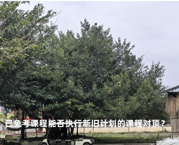 已免考课程能否执行新旧计划的课程对顶？
