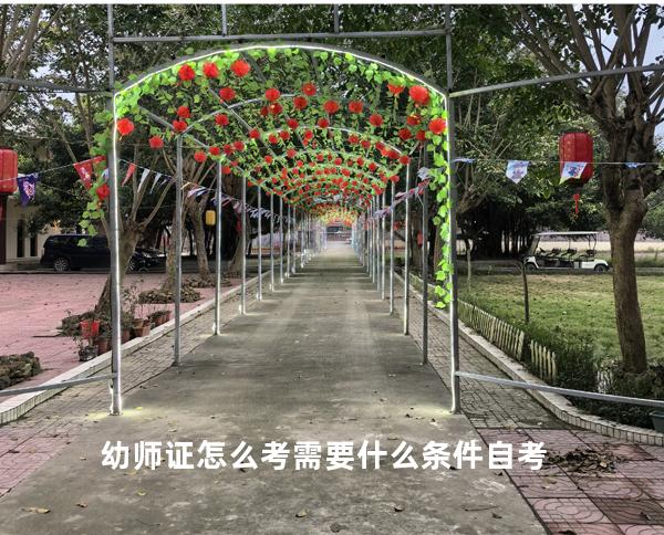 幼师证怎么考需要什么条件自考