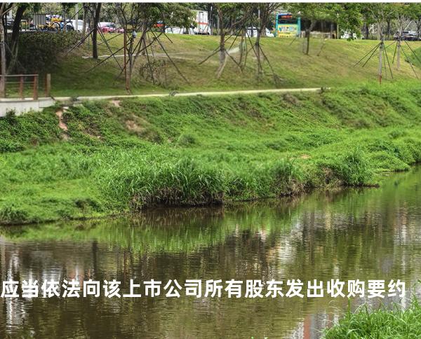 应当依法向 该上市公司所有股东发出收购要约